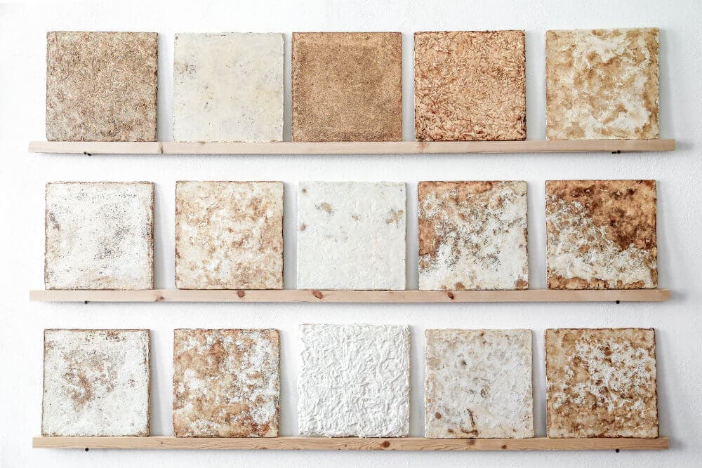Mycelium panel samples in various colors and textures