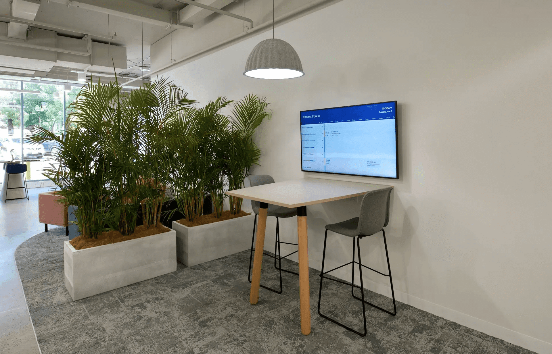 Acoustic Panels or Green Walls