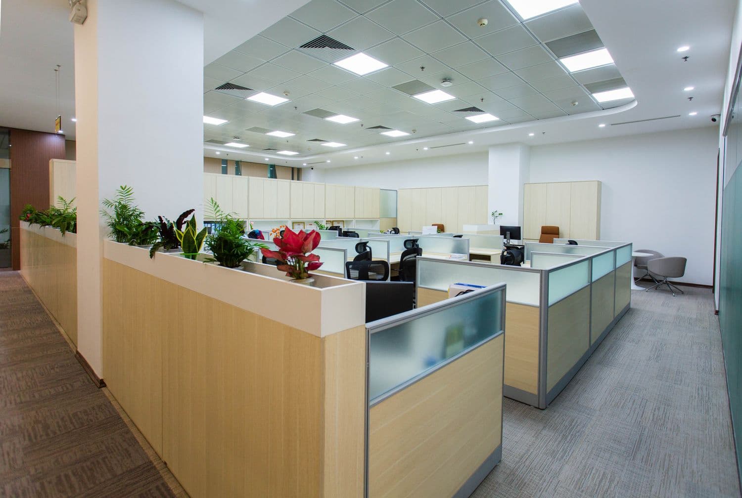 CAT A and CAT B Fit Out Explained for Sydney Tenants - author