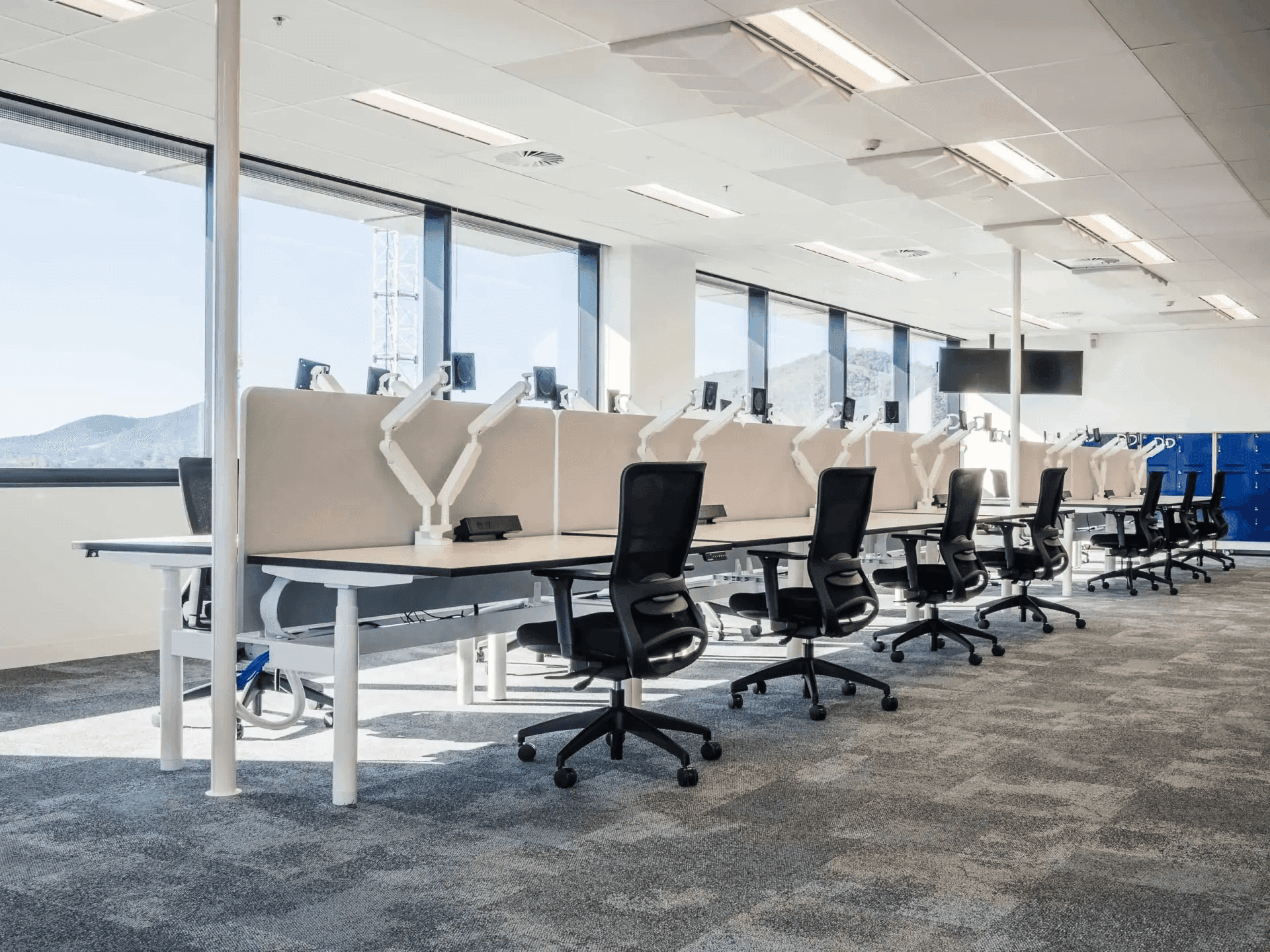 Cubicle or Partitioned Layout