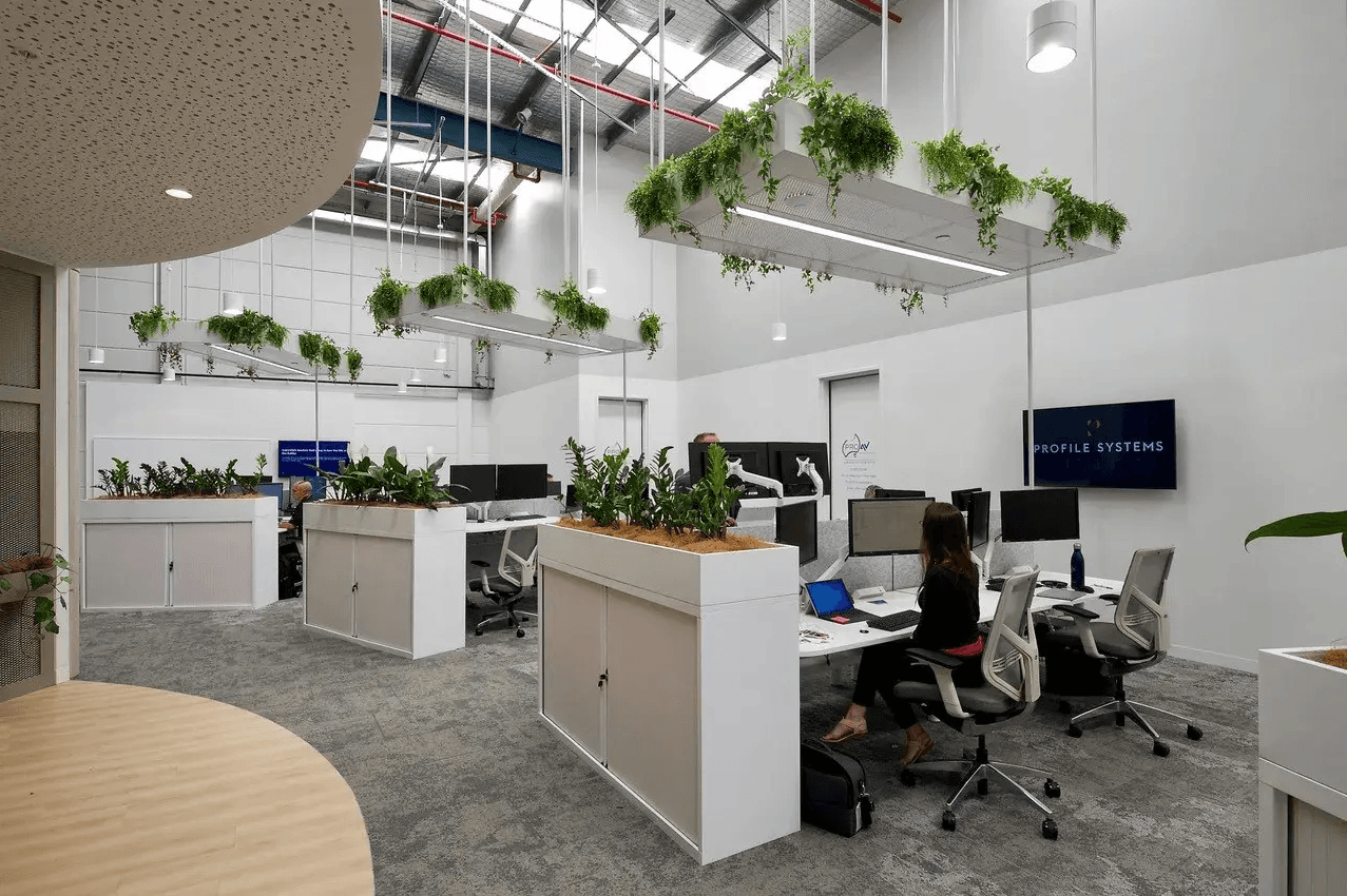 Acoustic management and office partitions in a Sydney fitout project