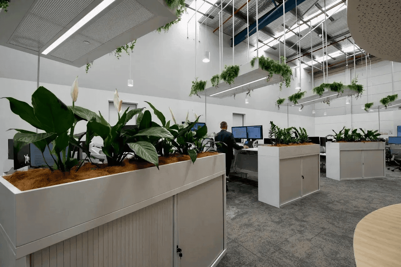 Biophilic design with indoor plants and natural elements in office