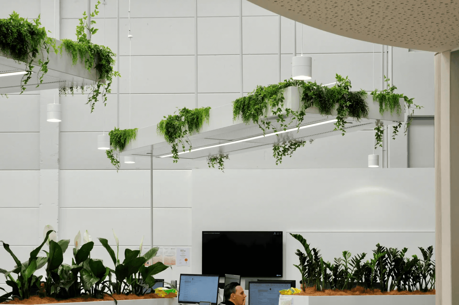 Sustainable office design with indoor plants and biophilic elements